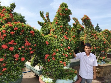 Những linh vật ngày Tết được làm bằng cây kiểng “siêu độc” - 5 Tết Đinh Dậu nên các nghệ nhân làm kiểng hình con gà với chất liệu là cây si, quất, trang rất độc đáo