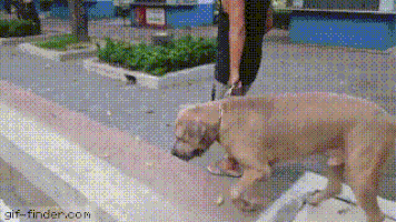 Sức mạnh của tình mẫu tử