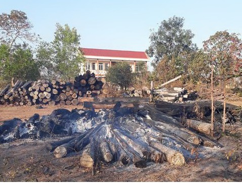 Điều tra việc gỗ lậu kiểm lâm vừa thu giữ đưa về bãi bỗng bốc cháy - 1
Hiện trường số gỗ lậu bị cháy (ảnh cơ quan chức năng cung cấp)