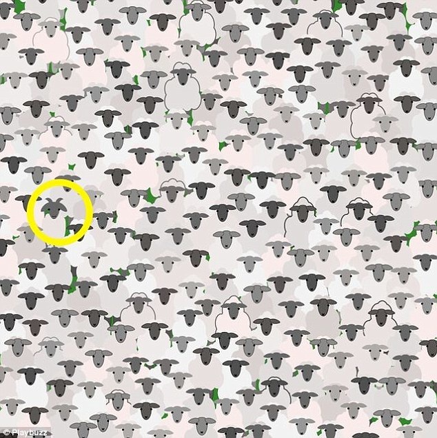 Chú dê “cô đơn” đứng ở phía giữa về bên trái, vật “tố giác” ra chú chính là cặp sừng.