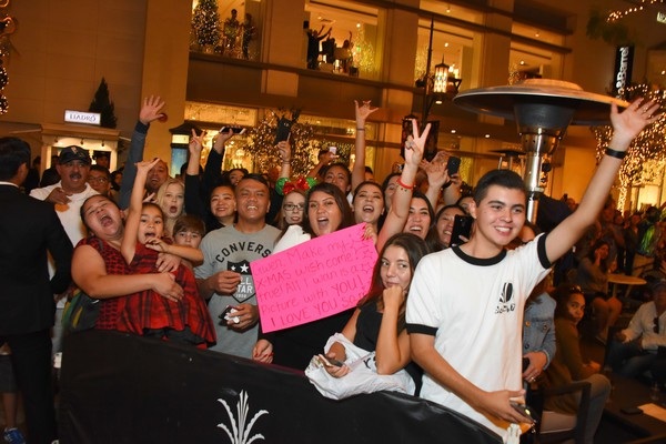 
Gwen sở hữu lượng fans hùng hậu luôn cổ vũ cô nhiệt tình trong mọi sự kiện
