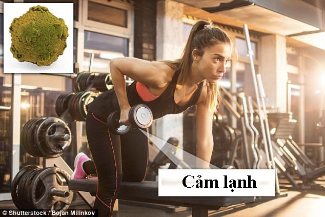 Những nguyên tắc số 1 giúp tránh nhiễm bệnh từ phòng tập gym - 5 Những nguyên tắc số 1 giúp tránh nhiễm bệnh từ phòng tập gym - 5