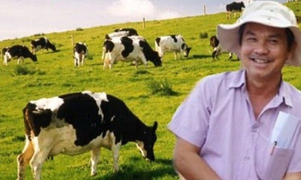 Hoàng Anh Gia Lai: Nợ gia tăng hơn 3.000 tỷ đồng, lỗ ròng hơn 1.400 tỷ đồng - 1 Doanh thu bán bò của HAGL tăng mạnh trong năm 2016, song không thể cứu tập đoàn thoát lỗ.