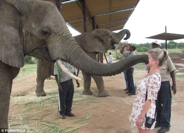 Một nụ hôn không hề mong đợi.