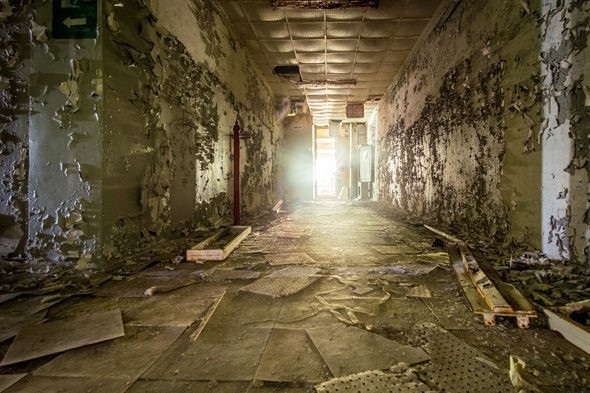Xem xét khả năng mở lại khu vực bị ảnh hưởng bởi thảm họa Chernobyl để … trồng trọt - 3
Chernobyl bị bỏ hoang.