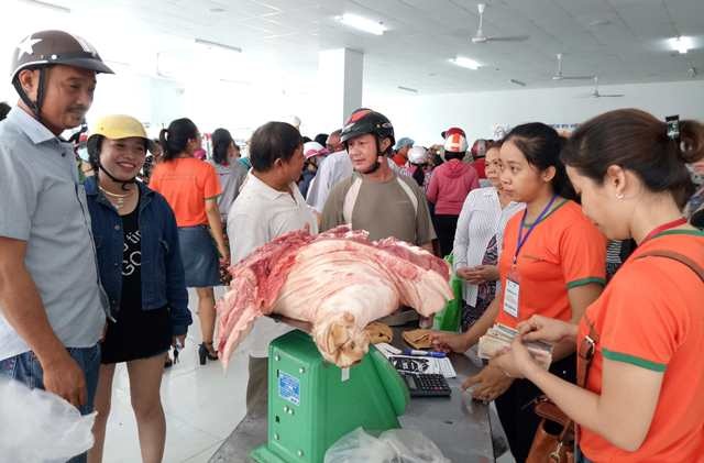 Hàng trăm người chen chân mua thịt lợn giá rẻ - 4 
Dự kiến trong 3 ngày sẽ tiêu thụ 1.000 con lợn để giúp nông dân