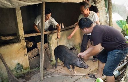 Nam giới cần chủ động tự bảo vệ vùng kín và an toàn lao động, sinh hoạt (ảnh minh họa internet)