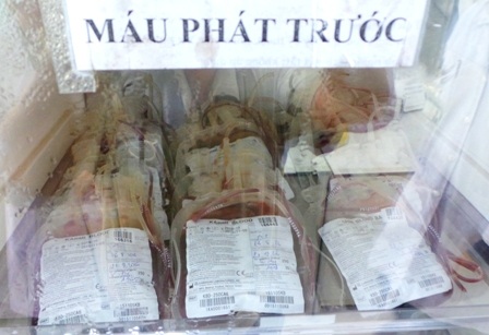 Nhiều người hiến máu tới hơn 80 lần - 3 Nguồn máu hiến tặng đã và đang đảm bảo cho việc điều trị, cấp cứu, dự phòng