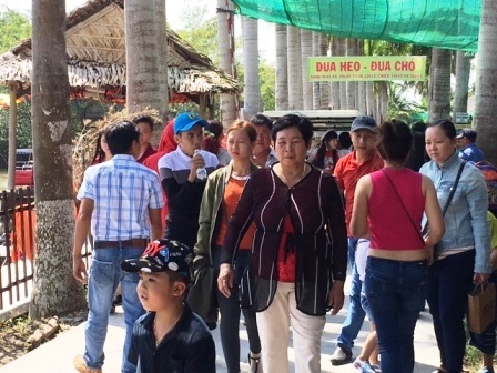 Du xuân ngắm cảnh miệt vườn, xem trò đua heo ngày mùng 2 Tết - 12 Du xuân ngắm cảnh miệt vườn, xem trò đua heo ngày mùng 2 Tết - 12