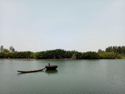 Nhà máy bột giấy VNT 19: Sẽ đóng cửa nhà máy nếu gây ô nhiễm - 2 Tỉnh Quảng Ngãi sẽ trồng mới 50 ha dừa nước sau khi phá bỏ rừng dừa nước Cà Ninh