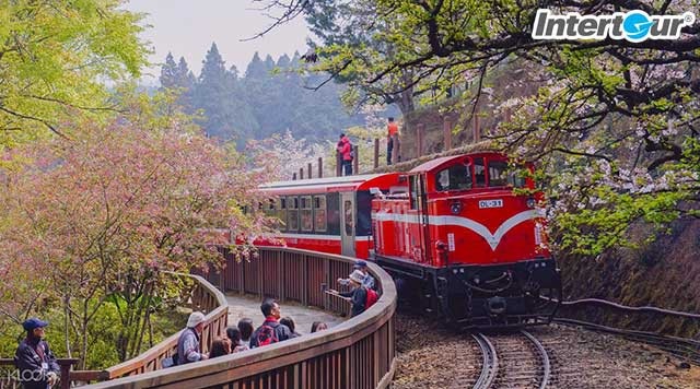 Đăng ký ngay tour du lịch Đài Loan nhận ưu đãi bất ngờ - 2 Đăng ký ngay tour du lịch Đài Loan nhận ưu đãi bất ngờ - 2
