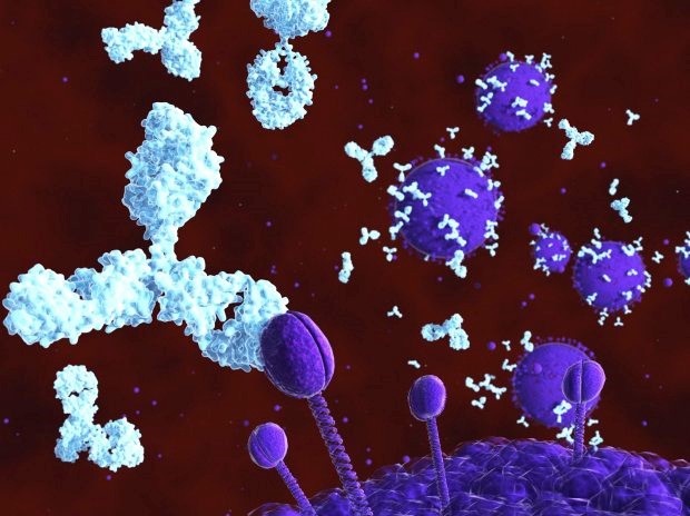 Đột phá lớn trong điều trị và phòng ngừa HIV - 2
Thử nghiệm trên người sẽ được tiến hành vào đầu năm sau.