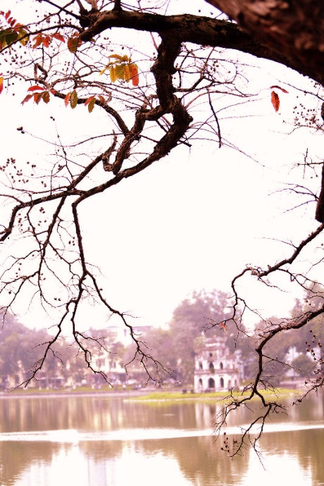 Khung cảnh ấy như một bức tranh thủy mặc đậm chất Hà Nội khiến bao người phải si mê.