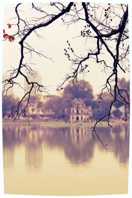 
Một góc Hồ Gươm, nắng rót xuống mặt đường qua những thân cành, tán lá như kìm bước chân người lữ khách chậm lại để suy tư, để mơ màng, nhưng cũng thật vui tươi, nhộn nhịp đầu năm mới.
