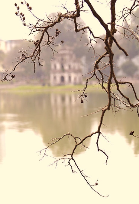 Đặc biệt, hình ảnh Tháp Rùa uy nghiêm, trầm mặc sau những thân cành khẳng khiu của cây bằng lăng, cây gạo, cành liễu đã trơ trụi lá mang vẻ đẹp hoài cổ khiến lòng người bâng khuâng.