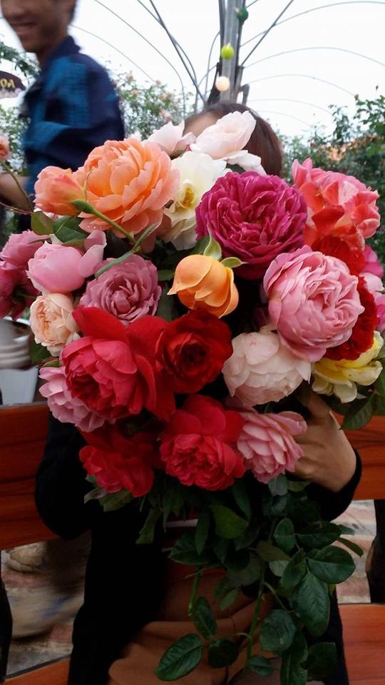 Bí quyết để có một bình hoa bền, đẹp trưng Tết - 1