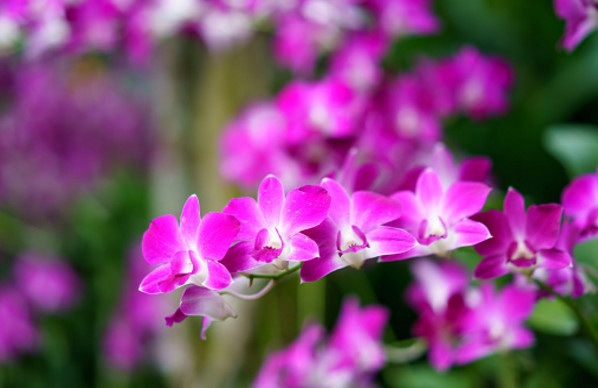 Năm nào cũng đẹp cả thôi! - 1 Năm nào cũng đẹp cả thôi! - 1