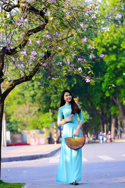 Thiếu nữ Lào khoe sắc trên con đường tím màu hoa ban Hà Nội - 8 Thiếu nữ Lào khoe sắc trên con đường tím màu hoa ban Hà Nội - 8