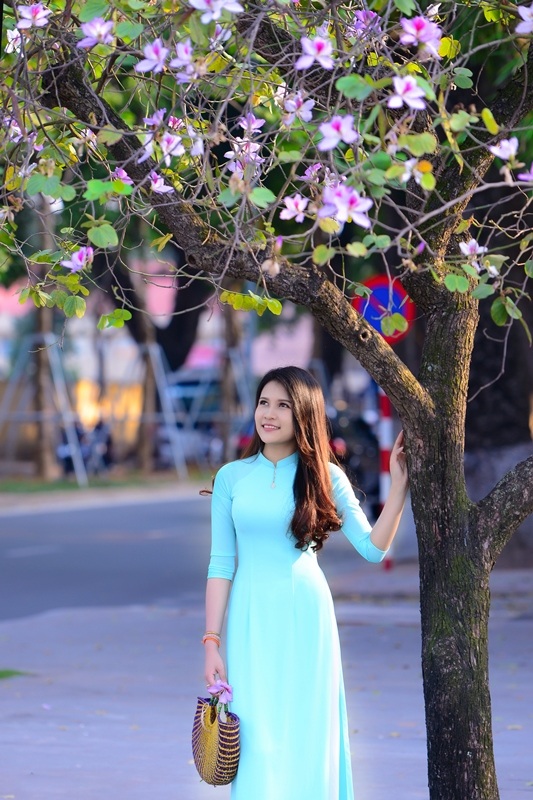 Thiếu nữ Lào khoe sắc trên con đường tím màu hoa ban Hà Nội - 10 Thiếu nữ Lào khoe sắc trên con đường tím màu hoa ban Hà Nội - 10