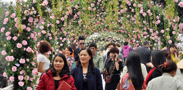 Vỡ mộng thượng uyển, thiếu nữ hăng hái chụp với hoa hồng "kiểu Bulgaria" - 2