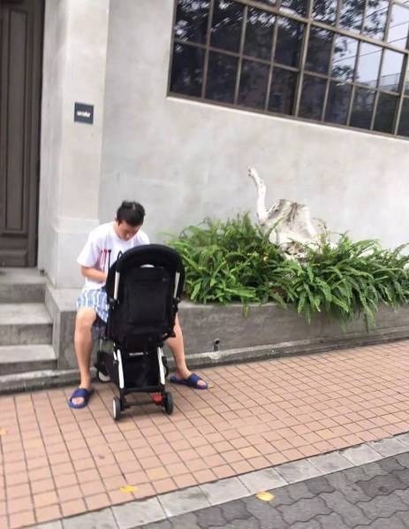 Trần Quán Hy: Từ trai hư trở thành “ông bố bỉm sửa” chính hiệu - 14
Hình ảnh ông bố đầu bù tóc rối, chân đi dép lê, quần áo nhầu nhĩ bên vệ đường khi đẩy con gái đi tắm nắng của Trần Quán Hy đã thu hút nhiều lượt like của cư dân mạng.