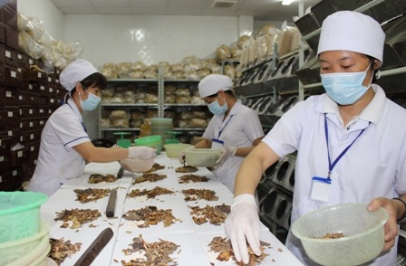 Đề xuất xây bệnh viện Y học cổ truyền Việt Trung - 1 Y học cổ truyền của Việt Nam tìm cơ hội phát triển trên cơ sở hợp tác với Trung Quốc