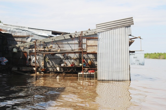 Một căn nhà bị sạt xuống bờ sông, nước dâng cao gây ảnh hưởng không nhỏ.