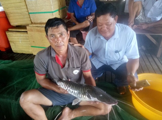 Dị thường đàn "thủy quái râu dài" của lão nông trên sông Hậu - 3 Thấy con cá lạ, thời gian gần đây có nhiều người đến nhà ông Bon để xem