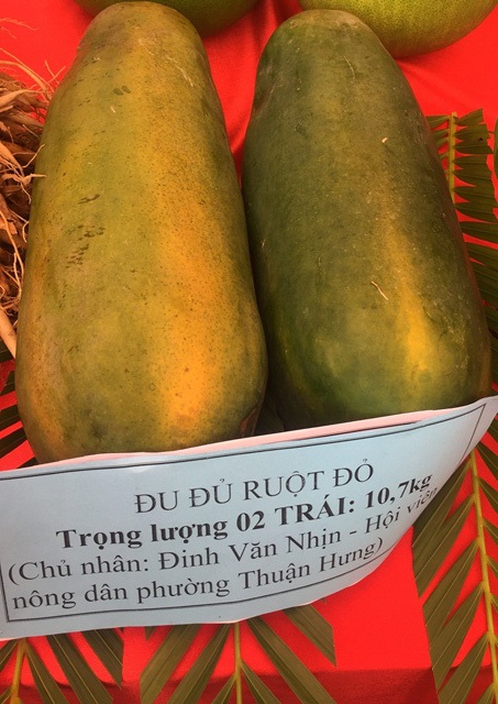 Nhiều củ, quả độc lạ được người dân “khoe” tại lễ hội du lịch trái cây - 4 Đu đủ đỏ ruột