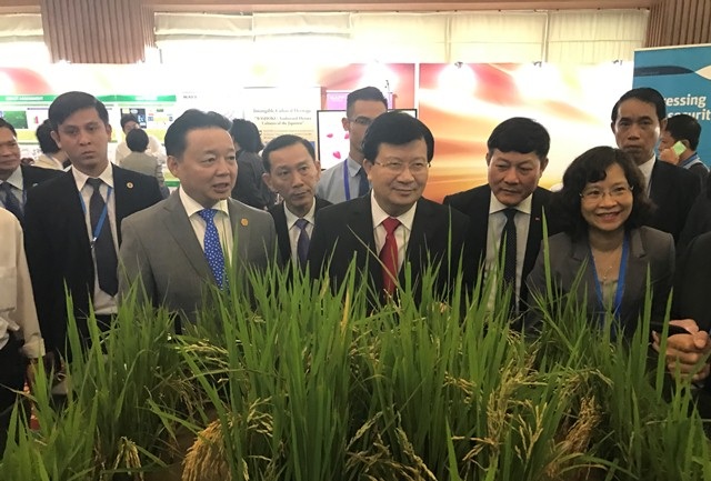 Phó Thủ tướng Trịnh Đình Dũng cùng đại biểu tham dự triển lãm APEC