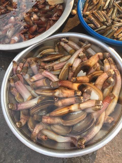 Cô Tô mê hoặc du khách bởi vẽ đẹp yên bình, hoang sơ - 3 Hải sải ở đây tươi ngon, giá cả phù hợp