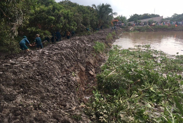Sạt lở, 4 căn nhà trôi tuột xuống sông - 2 Lực lượng đang xây dựng con đê dài khoảng 400 mét sâu vào bên trong khoảng 15 mét và gia cố tuyến đê bên ngoài.