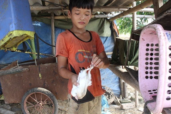 Sống giữa Thủ đô, 48 tuổi 14 lần sinh nở... tại nhà - 2 
Đứa con trai thứ 8 của bà Hải giúp mẹ làm việc.