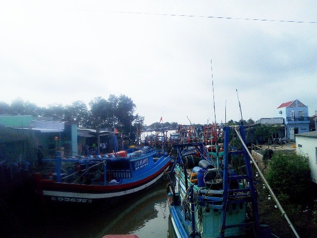 Triển khai ứng phó bão không tốt thì xử lý trách nhiệm! - 8 Một số tàu thuyền đã vào neo đậu an toàn.