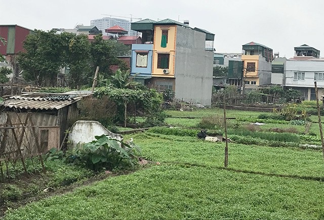 Hà Nội: Đua nhau xây nhà trên khoảng ruộng "kẹt" giữa nội thành - 2
Những năm gần đây, hàng loạt ngôi nhà kiên cố được người dân dựng trên khu đất nông nghiệp này nhưng không bị phá dỡ