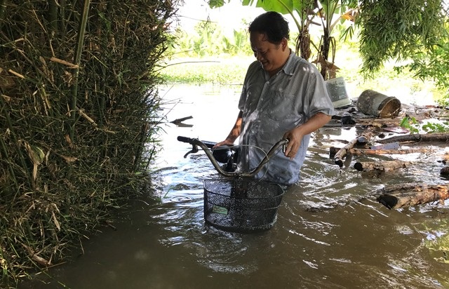 Triều cường kéo sập bờ ao cá, hàng chục hộ dân ngập sâu trong nước - 3 Triều cường dâng cao, ngập gần đến yên chiếc xe đạp