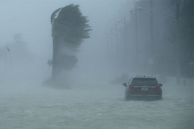 Thực hư đàn cá mập... bơi trên phố sau siêu bão Irma? - 1 Irma đổ bộ Florida khiến ít nhất 11 người thiệt mạng