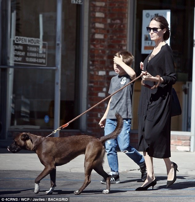 Angelina Jolie giới thiệu thành viên mới trong gia đình - 1
Ngày 23/10 vừa rồi, Angelina Jolie cùng cậu con trai Knox đã dắt chú cún cưng, thành viên mới trong gia đình, dạo phố và ghé vào một cửa hàng bán đồ dành cho cún cưng.