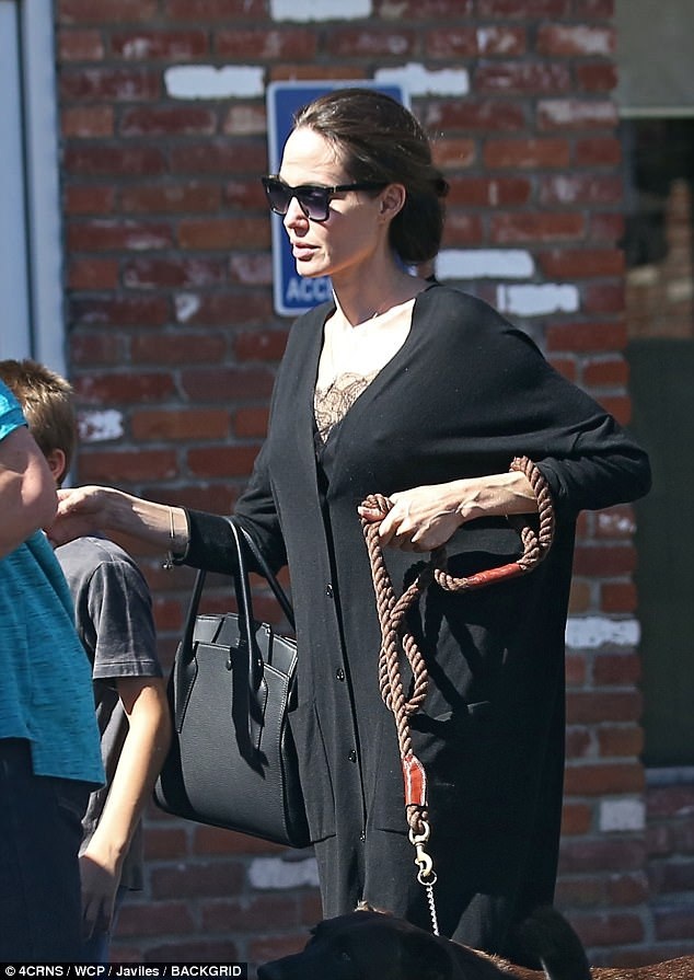 Angelina Jolie giới thiệu thành viên mới trong gia đình - 2
Nữ diễn viên 42 tuổi từng phải trải qua hai ca phẫu thuật cắt bỏ tuyến vú cũng như buồng trứng trông rất gầy gò nhưng lúc nào cũng rạng ngời.