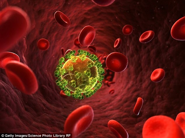 Nghiên cứu đột phá trong điều trị AIDS: "Tiêm" kháng thể HIV cho tế bào - 1 Nghiên cứu đột phá trong điều trị AIDS: "Tiêm" kháng thể HIV cho tế bào - 1