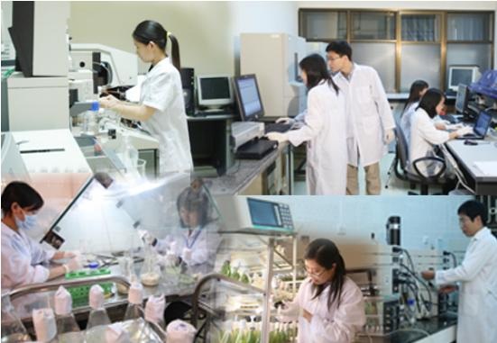 Tháo gỡ vướng mắc kìm hãm sự phát triển của khoa học và công nghệ - 1
Ảnh minh họa