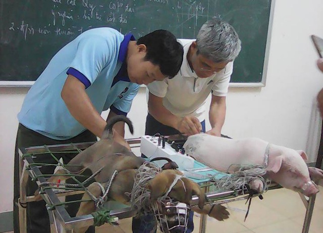 Xét tuyển 50 chỉ tiêu ngành Thú y Đại học hệ chính quy đợt 2 - 2 Thầy giáo TS. Nguyễn Hùng Nguyệt hướng đẫn học viên.