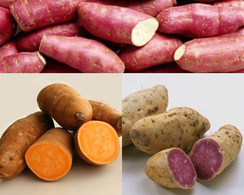 Những thực phẩm là “kẻ thù không đội trời chung” của tế bào ung thư - 7 Những thực phẩm là “kẻ thù không đội trời chung” của tế bào ung thư - 7