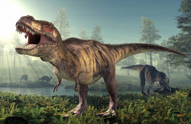 Hai chi trước nhỏ xíu của T-rex có lẽ không vô dụng như chúng ta vẫn nghĩ - 2 Hai chi trước nhỏ xíu của T-rex có lẽ không vô dụng như chúng ta vẫn nghĩ - 2