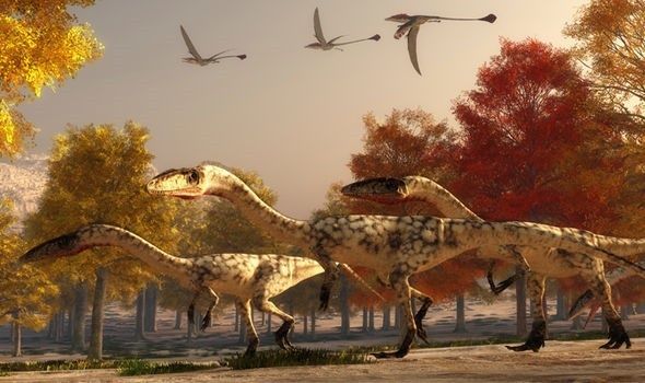 Phát hiện xác sinh vật giống khủng long được bảo tồn khá nguyên vẹn ở Ấn Độ - 2
Coelophysis và Dromaeosaurus là những con khủng long có hình dạng giống sinh vật này.