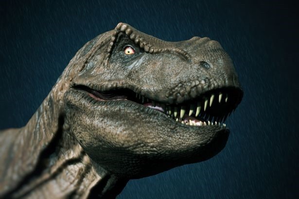 Hai chi trước nhỏ xíu của T-rex có lẽ không vô dụng như chúng ta vẫn nghĩ - 4 Hai chi trước nhỏ xíu của T-rex có lẽ không vô dụng như chúng ta vẫn nghĩ - 4