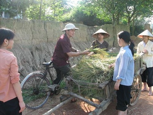 Nhìn lại dàn diễn viên phim “Bí thư tỉnh ủy” sau 8 năm - 10 Nghệ sĩ Mai Hoa từng chia sẻ: “Đóng xong phim “Bí thư Tỉnh uỷ”, tôi cũng đã nhanh chóng hoàn tất khóa học làm ruộng một cách thuần thục, vào các cảnh trong phim, tôi đã tự tay cấy, đập lúa thành thục... Thực sự đây là một phim cho tôi nhiều trải nghiệm”.