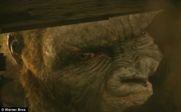 “Kong: Skull Island” được thực hiện sẽ mở ra một cuộc đối đầu sau đó giữa Kong và Godzilla. Bộ phim quy tụ hai quái thú được dự kiến ra rạp năm 2020.