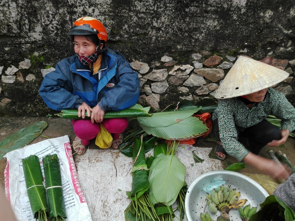 Sát Tết, 1000 đồng/ lá dong vàng úa, người dân bấm bụng mua gói bánh - 3 Những chiếc lá dong bé xíu cũng trở nên khan hiếm tại Yên Thành trong ngày cận Tết.