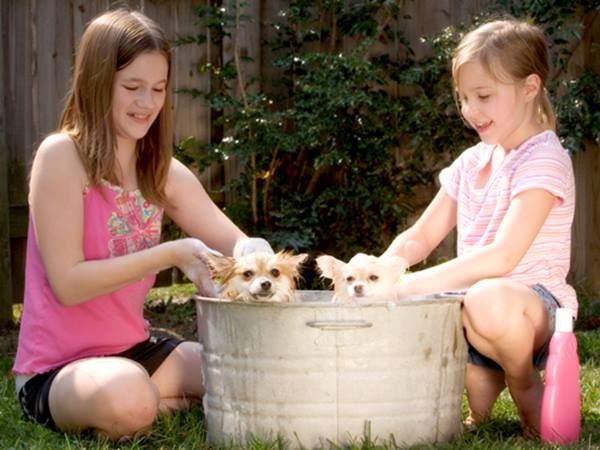 Trẻ không chịu làm việc nhà là do… bố mẹ! - 4 Cha mẹ cần xây dựng cho trẻ ý thức rằng mình là một phần của gia đình và hiểu được trách nhiệm của bản thân với mọi người. (Ảnh minh họa)